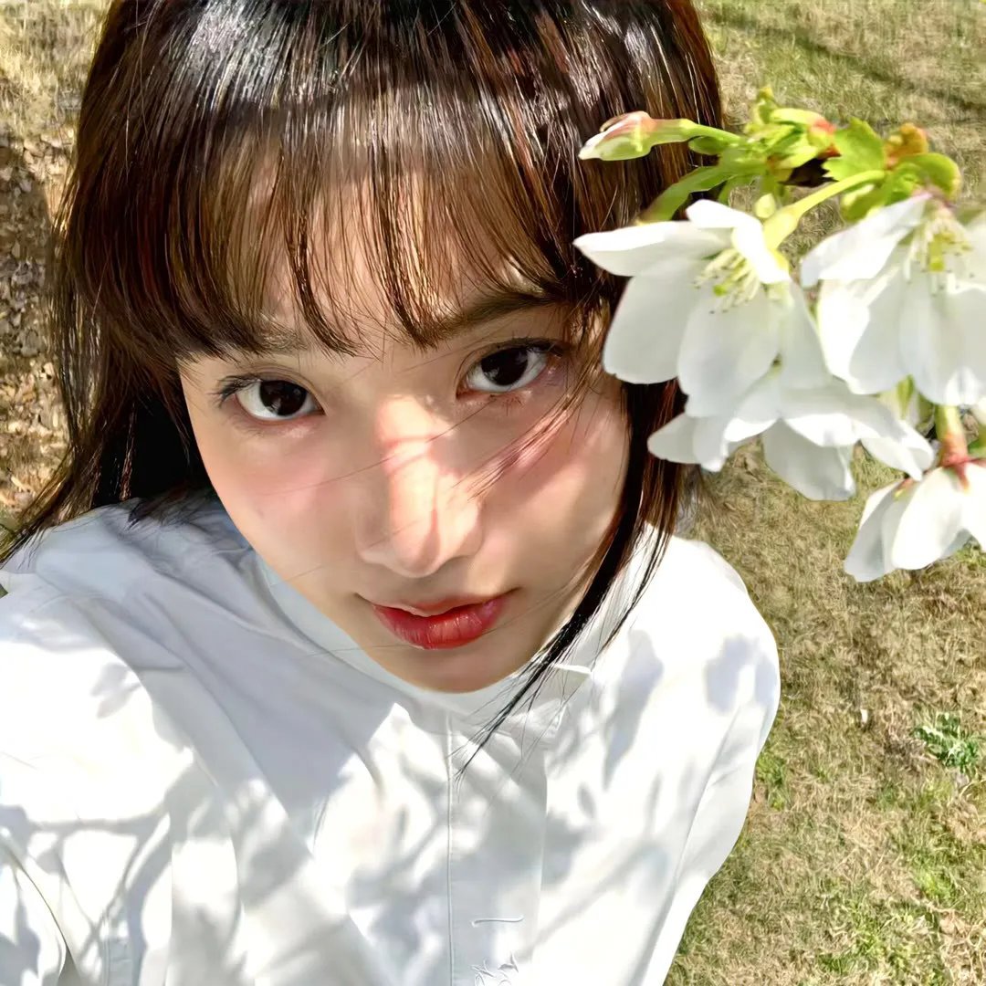 再生缘